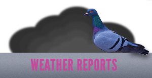 Weather Reporting