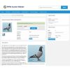 Our auction site