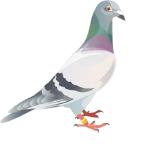 The Royal Pigeon Racing Association