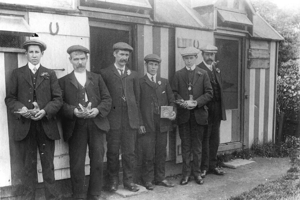 Early pigeon fanciers